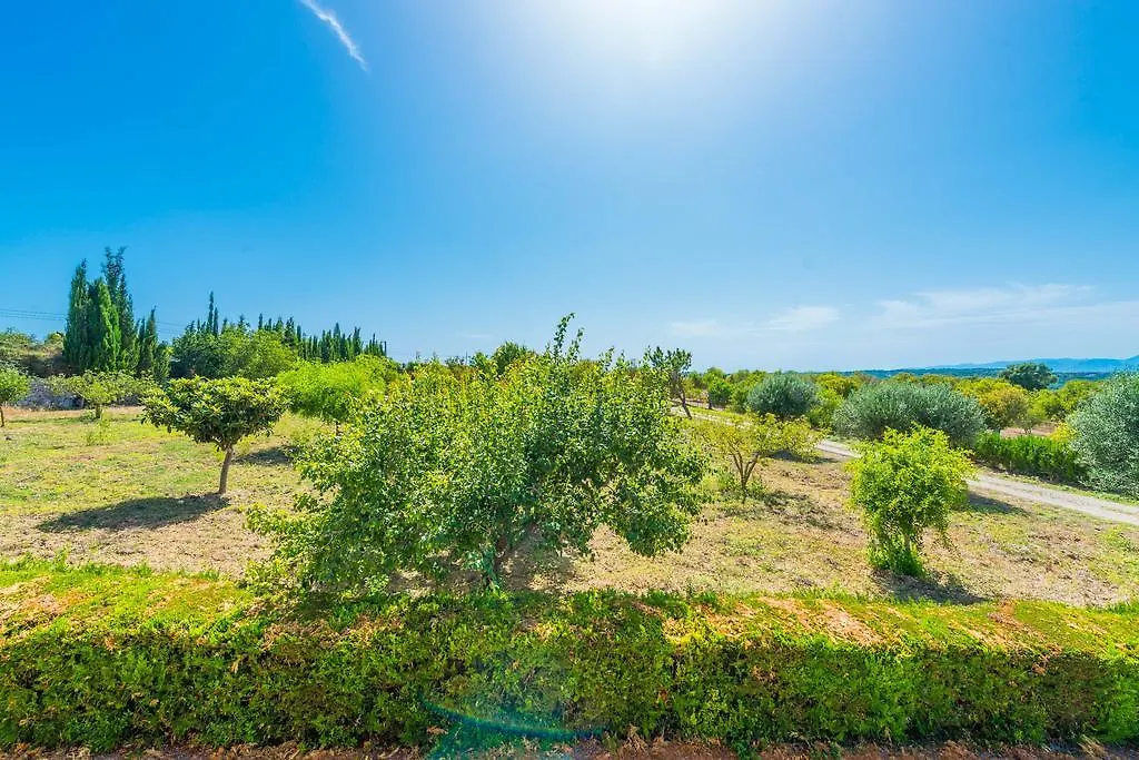 Sa Bassa Villa Ariany