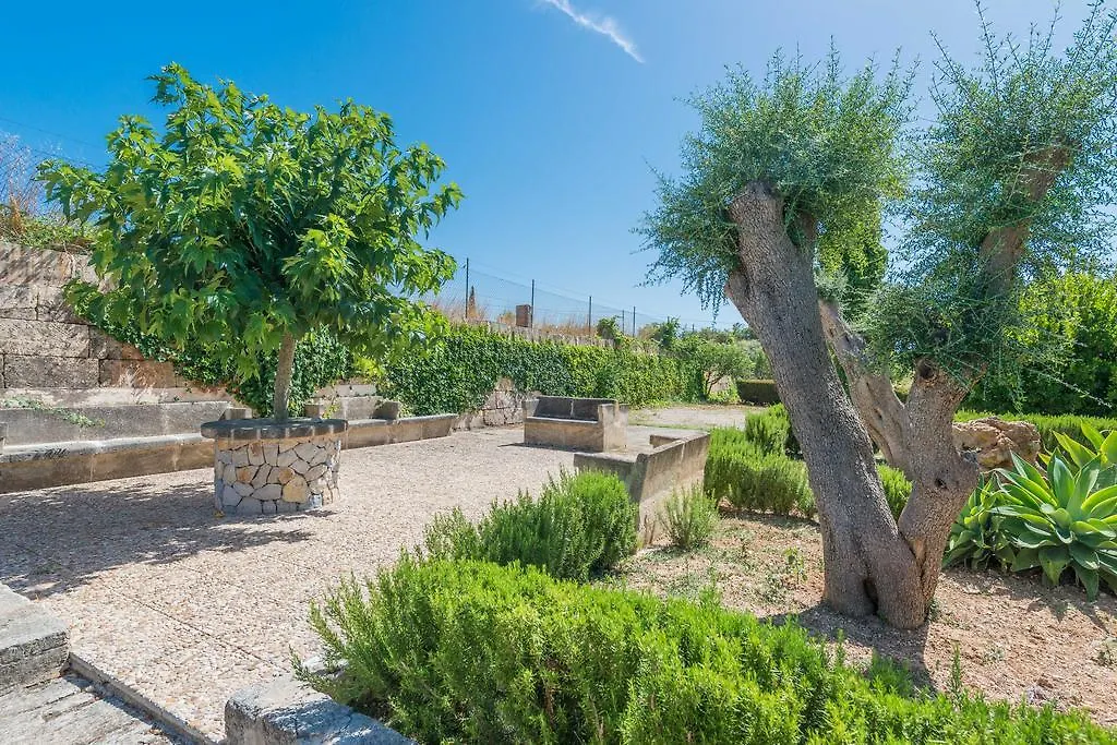 Sa Bassa Villa Ariany İspanya